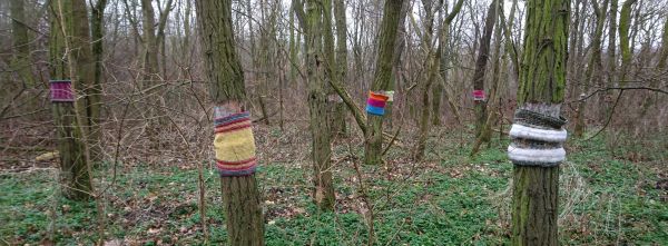 Schutzaktionen für Robinien in Halle/Saale